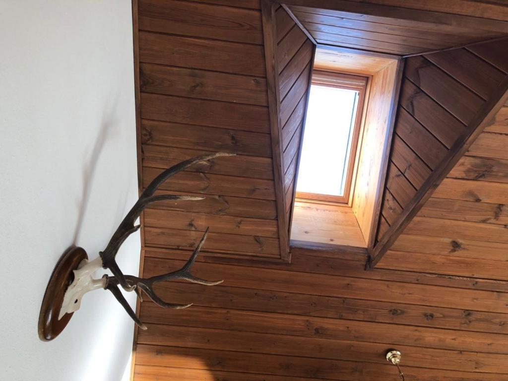 Apartamento Ático Jaca a 200 m de la Ciudadela Exterior foto